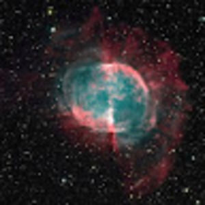 Meet your Posher, Mia